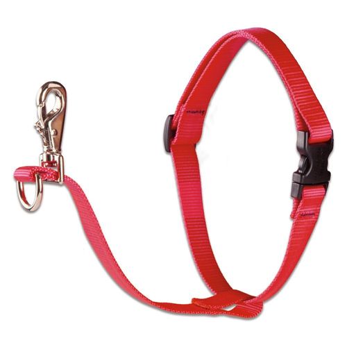 LupinePet Basics 3/4" Red 16-26" No Pull Harness for Small-Medium Dogs