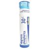 Magnesia Phosphorica 30C Homeopathic Medicine for Spasmodic Abdomen Pain (80 Pellets)