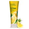 Desert Essence Organic Tea Tree Lemon Shampoo, 8 fl oz (237 ml)