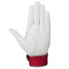 MIZUNO WILLDRIVE B 22AW Navy x Red x Silver M