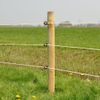 25x Gallagher XDI Screw-in Ring Insulators - for Wooden Posts