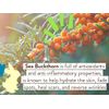 Babo Botanicals Daily Sheer Moisturizing Mineral Tinted Sunscreen SPF 30, Natural Glow, Unscented, 1.7 Fl Oz