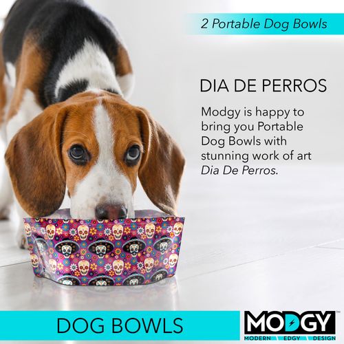 MODGY Collapsible Dog Food Bowl Dish, Reusable, Plastic Travel Size, Portable Container, Camping, Hiking, Car, Road Trip Essential, Cute Pattern, Dia de Perros, Pack of 2
