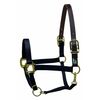Perri's Premium Nylon Safety Halter, Black, Cob