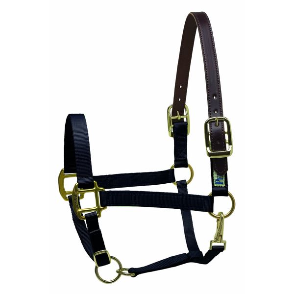Perri's Premium Nylon Safety Halter, Black, Cob
