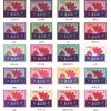 Goroku Seika Paper Flowers, 5 Color Crane Set, 500 Sheets
