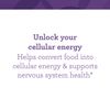 INNATE Response Formulas, B Complex, B Vitamin Supplement, Non-GMO Project Verified, Vegan, 90 Tablets
