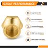 100-PCs HeSun Brass Pipe Fitting, 1/4-Inch NPT Male Hex Plug