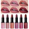 6 Colors Matte Lipstick Set Petansy Long Lasting Waterproof Velvet Lipstick Kit Velvet Smooth Lipstick Gift Set with Gift Box
