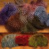 Hareline Strung Guinea Feathers Chartreuse