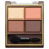 excel Skinny Rich Eye Shadow SR05 Warm Brown