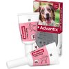 Advantix Spot-on Hund10-25, 4 St LOE
