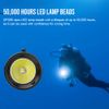 Trustfire Rechargeable Diving light 100m Scuba Flashlight for Photography Video