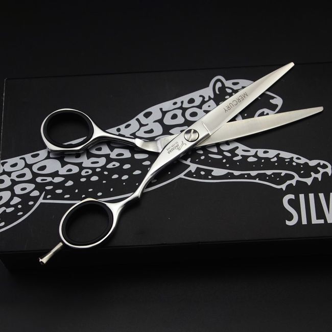 6 Professional Hair Scissors Cutting Shears 440C Hair Cutting