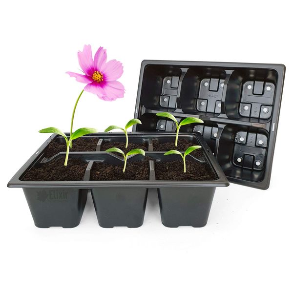 Elixir Gardens 100 x 6 Cell Reusable Seedling Germination Starter Bedding Plant Pack Inserts for Half Size Tray Propagator