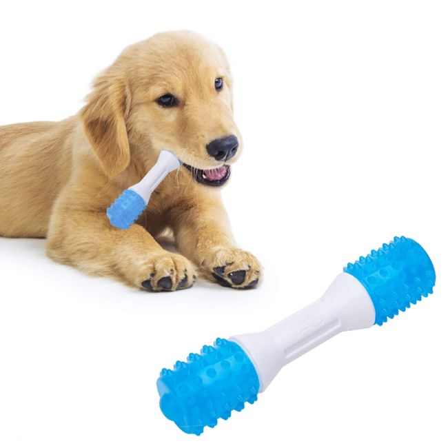 Pet Enjoy Dog Chew Toys for Puppy - Safe Puppies Teething Chew Toys for  Boredom,Durable Pet Dog Rubber Chew Toys for Small Dogs 