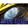 Raptor Yamaha 660 BLUE Eyes HeadLight Covers  atv