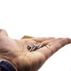 Compatible Elite Performance Wood Screw 3.5x16mm Box 120 Silver with countersunk Head Masters & Burrell