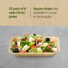 Signature Packaging - Disposable Palm Leaf Plates - Sturdy, Medium Square Plates - 15cm, 25 Pack