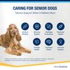 NutriScience SeniorAid Liquid Supplement 250ml - Helps with Immune System, Brain Function, Joints and Mobility, Heart Function Muscular Degeneration