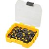 DeWalt Small Bit Storage Case Double Pack
