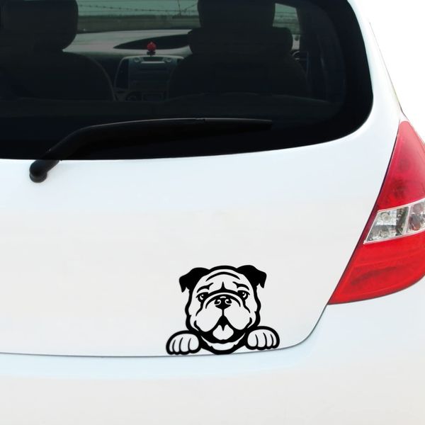 Peeking Bulldog Vinyl Decal Sticker for Car Window Bumper Pet Dog Puppy, Caravan Sticker, Laptop Sticker, 180mm