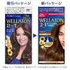Wellaton 2+1 Liquid Type Hair Dye (Non-Pharmaceutical)