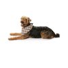 Burda Style Sewing Pattern B7752 Dog Coats