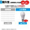 ELPA LDA4D-G-E17-G4103 LED Bulb Mini Krypton Shape E17 Indoor Use