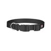 RNK Shops Personalized Pirate Dog Collar - Large