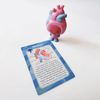 Know Yourself - Collectible Organaut Blind Boxes - Organ Learning Toy