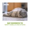 Pet Carpet Shampoo - Carpet Cleaner Solution for Carpet Cleaner Machine, Urin...