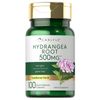 Hydrangea Root Capsules | 1000mg | 100 Count | Non-GMO, Gluten Free | by Carlyle
