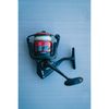 PENN Fierce III Spinning Reels