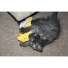 WUNDAPETS ADVENTURE MOUSE - CHEESY KICKER CAT KITTEN PLAYTIME TOY