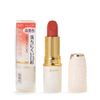 Cezanne Lasting Lip Color N501