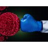 Immune Boost Capsules - Probiotic 40 Billion CFUs - Bifidobacterium Lactis 1B