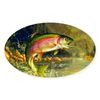 CafePress Trout 8X4 Oval Car Bumper Sticker