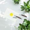 LACHIEVA LUX     