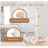 Cat scratching post