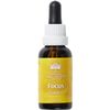 Australian Bush Flower Essences Cognis Drops