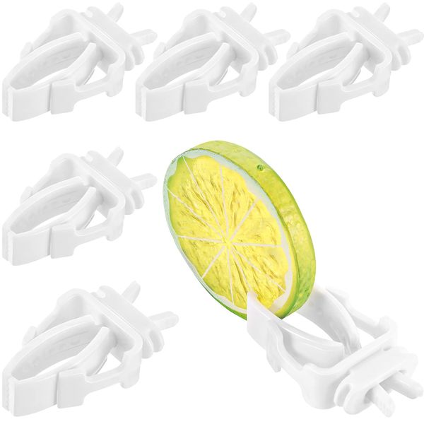 6 Pieces Bird Cage Food Holder Parrot Fruit Vegetable Clips Bird Cage Feeder Clip for Budgie Parakeet Cockatoo Macaw Cockatiel Conure