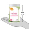 Zahler Lactivate, Advanced Lactation Support Supplement, Certified Kosher, 300 Tabs
