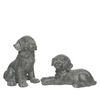 Poly Magnesium Dog
