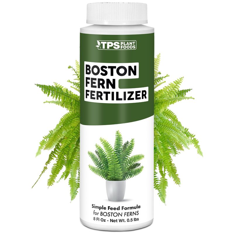 Boston Fern Fertilizer for Boston Fern, Great for Fluffy Ruffles ...