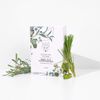SNOW FOX SKINCARE Face Pack (5 Per Box) (Herbal Youth)