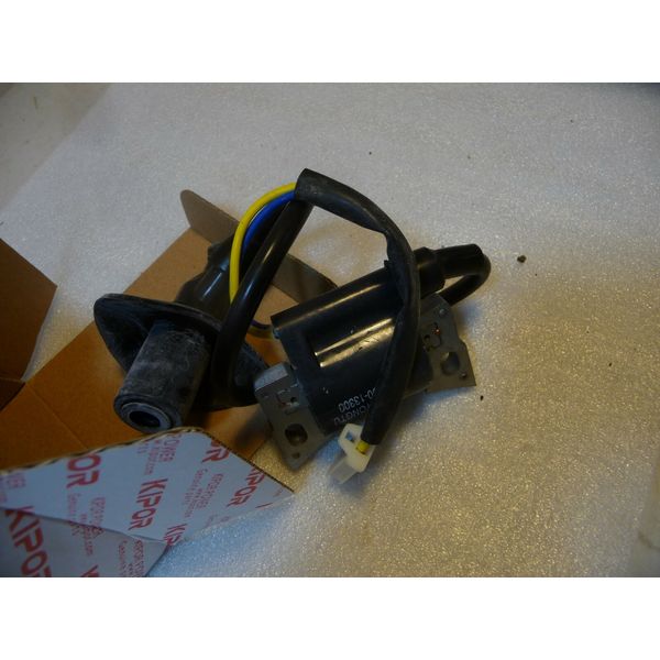 KIPOR IGNITION COIL, FOR KIPOR IG4000 IG4300 IGR4300