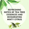 Herbal Essences Classics Clarifying Tea Tree Conditioner 13.5 fl oz