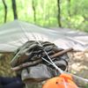 onewind One Piece Tarp Sleeve Protective Cover