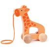 Hape E0906 Giraffe - Push and Pull Along Wooden Toy - For 12 Months +